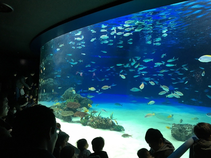 サンシャイン水族館